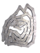S55 AGRICULTURAL ROLLER CHAIN