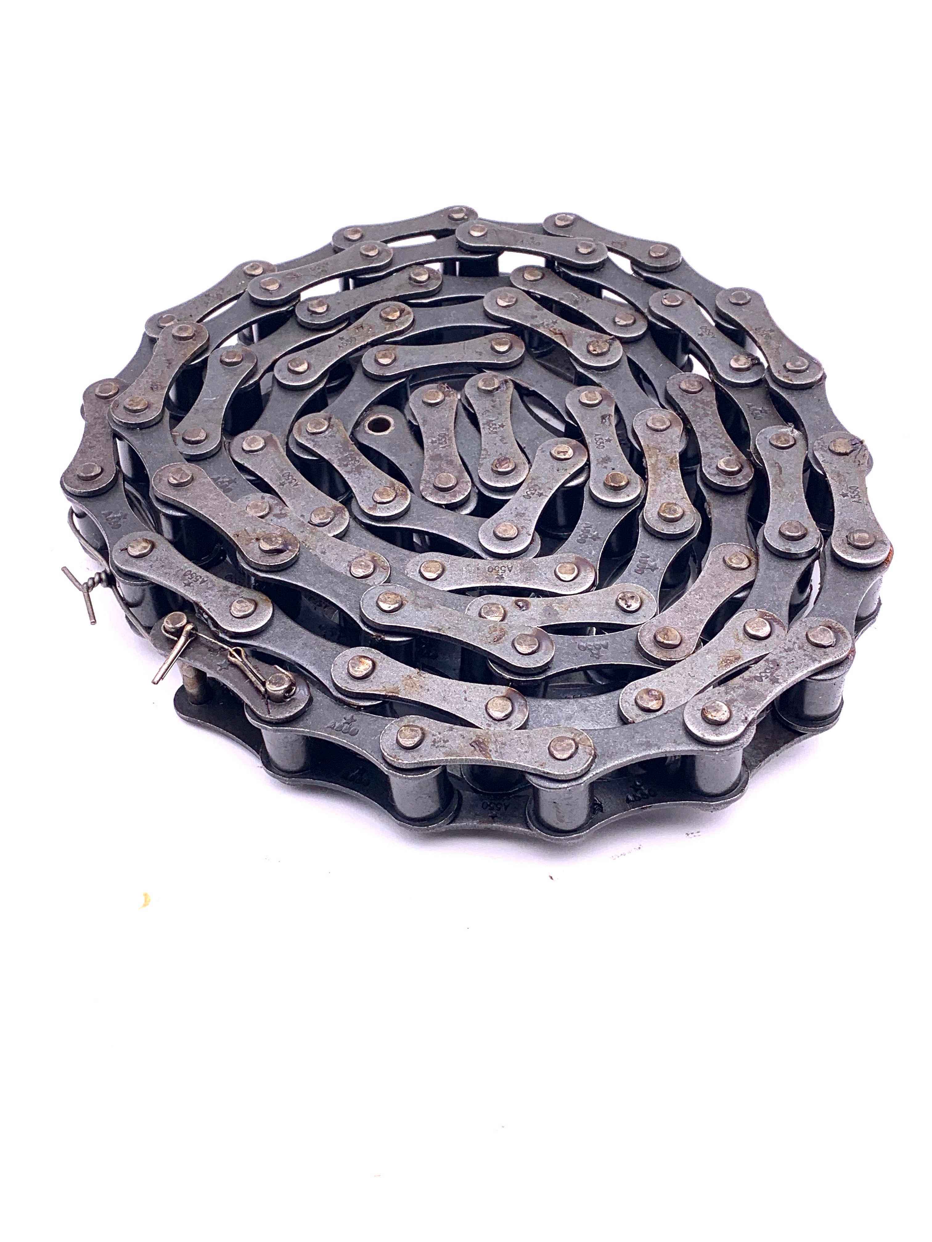 A550 Roller Chain USA Made 10' Coil - Farmchains.com